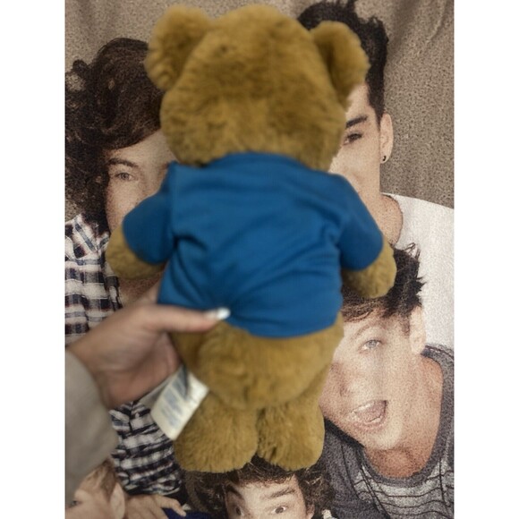 One Direction 1D Rare Soft Throw & Retired Build A Bear 1D Bear Harry Styles - Picture 8 of 15